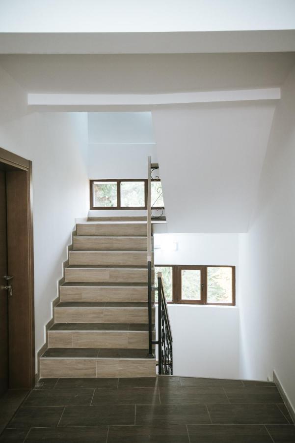 Apartman Kostic Kraljev Konak Kopaonik Luaran gambar
