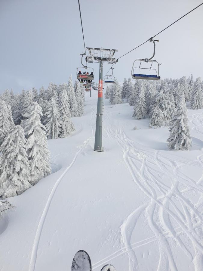Apartman Kostic Kraljev Konak Kopaonik Luaran gambar